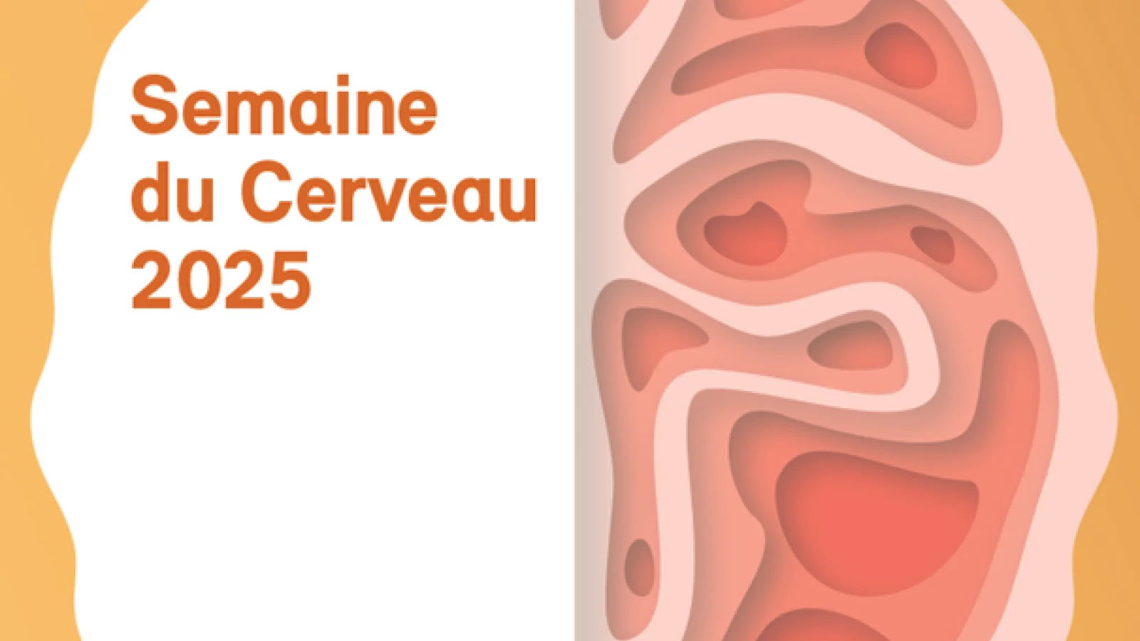 Logo - Brainweek - Fribourg